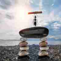 网﻿站​排‍名‍教﻿程‍